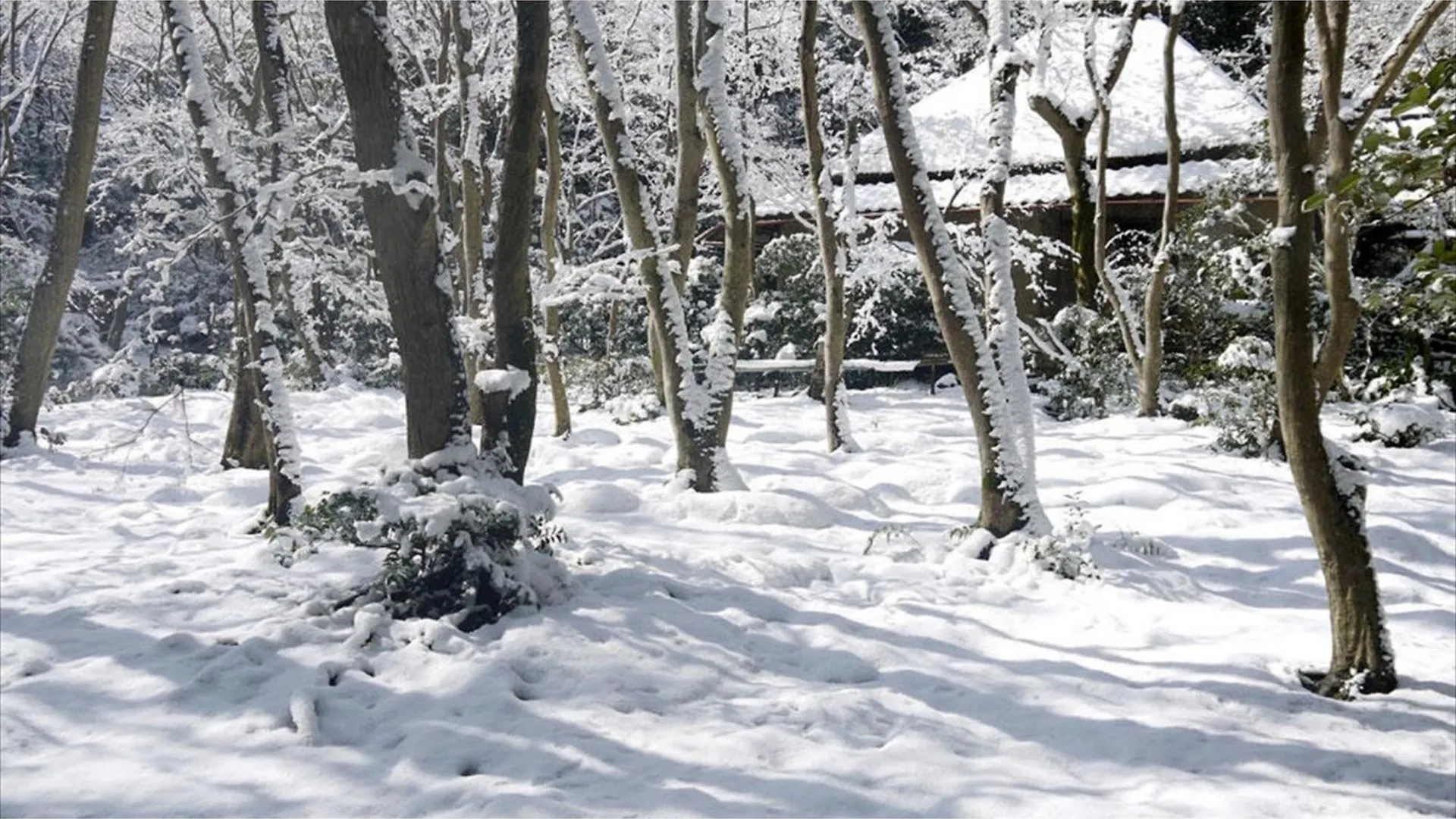 Hotel River Side Arashiyama - Vacation Stay 86248V Kyoto