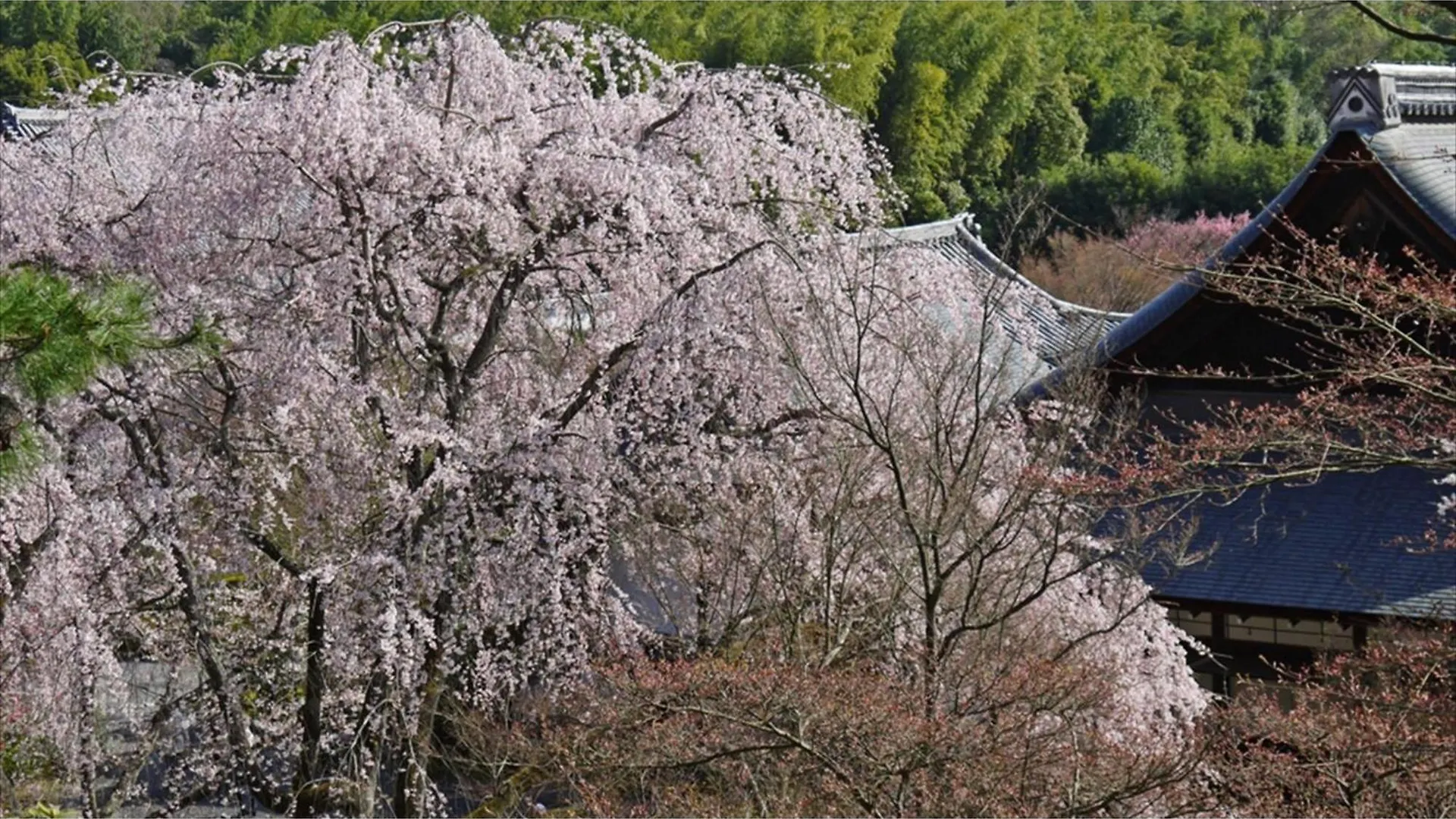 River Side Arashiyama - Vacation Stay 86248V Kyoto