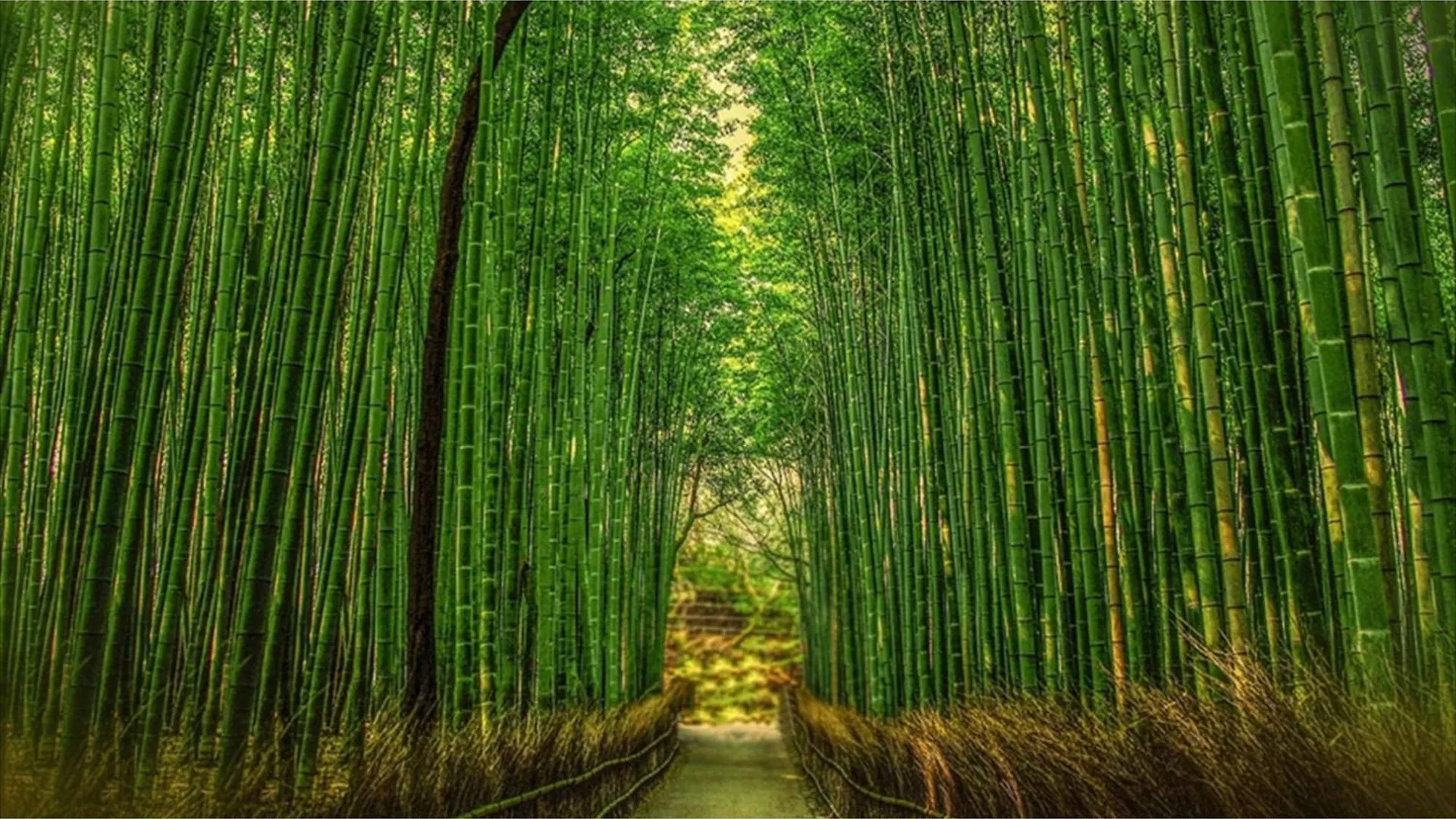 River Side Arashiyama - Vacation Stay 86248V Kyoto Japan