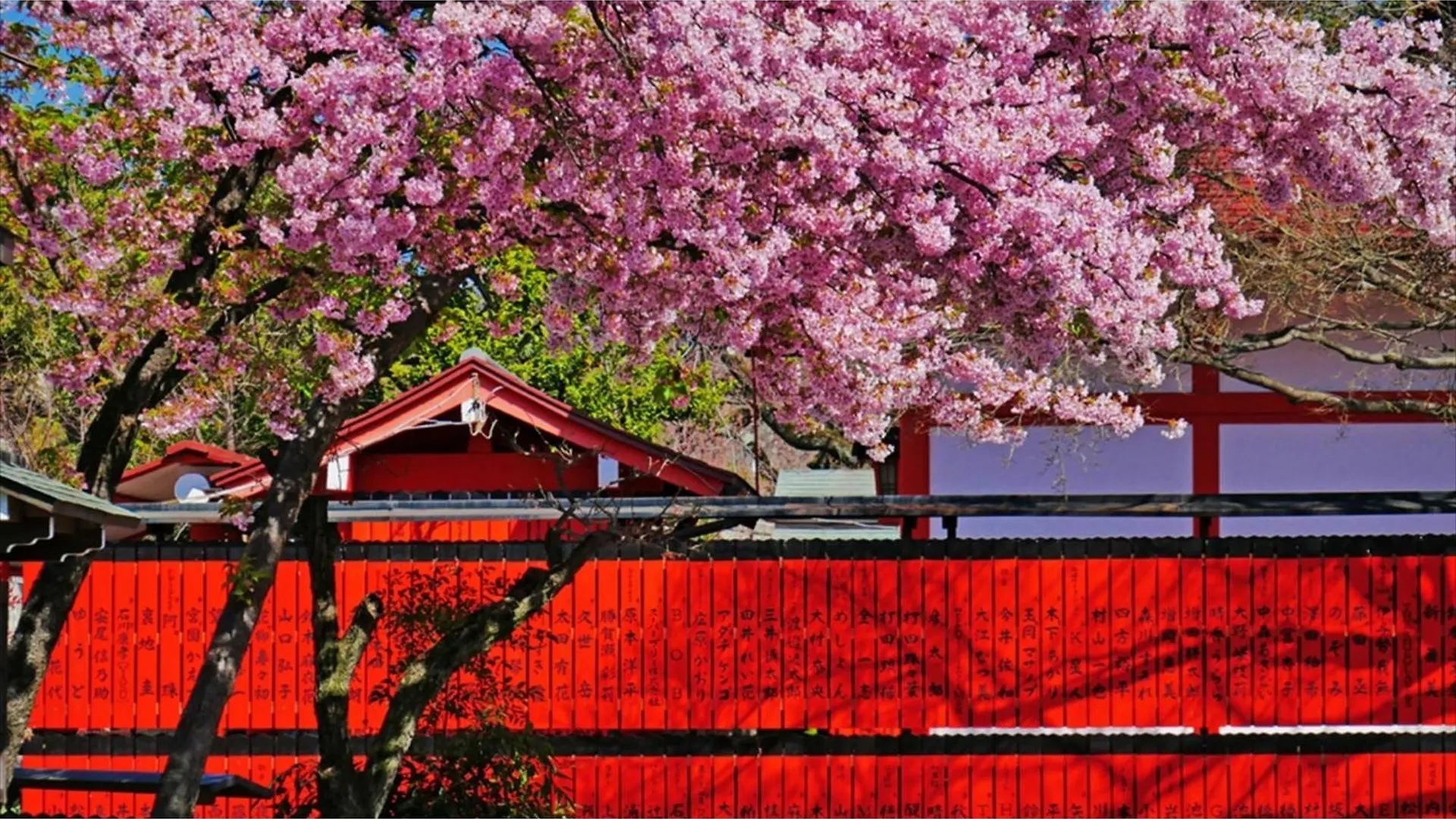 River Side Arashiyama - Vacation Stay 86248V Kyoto Hotel